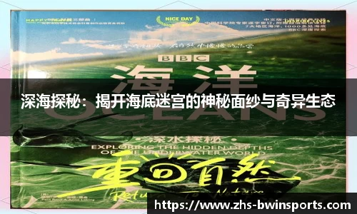 bwin必赢体育官网